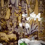 Apartment Cdz - Poniente